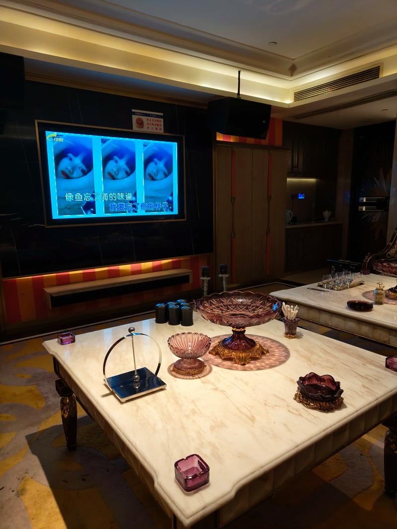 濮阳商务ktv优选商务ktv预订指南-范县ktv预定